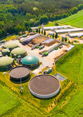 Bioüzemanyag és biomassza 